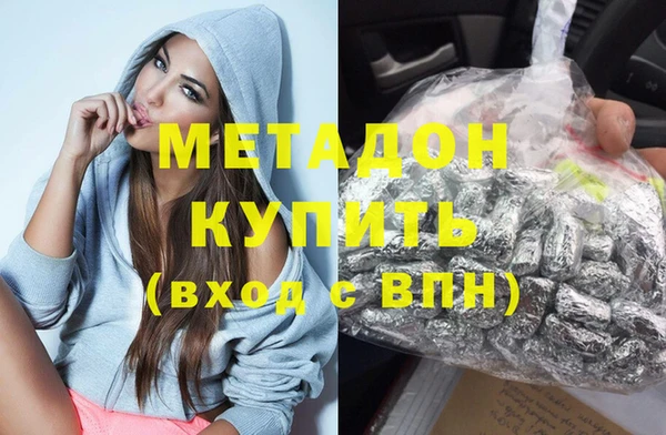 индика Алексин