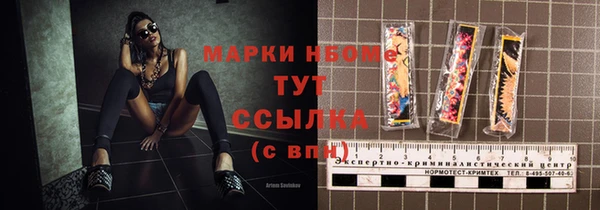 индика Алексин