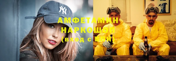 индика Алексин