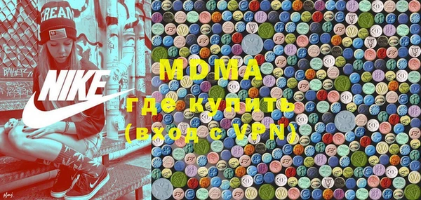 индика Алексин