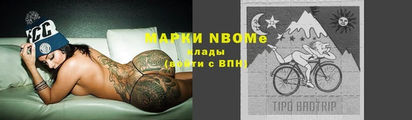 индика Алексин
