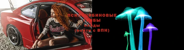индика Алексин