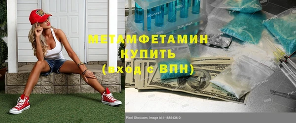 индика Алексин