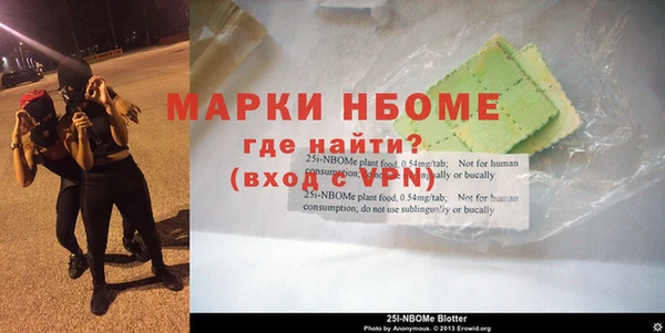 индика Алексин