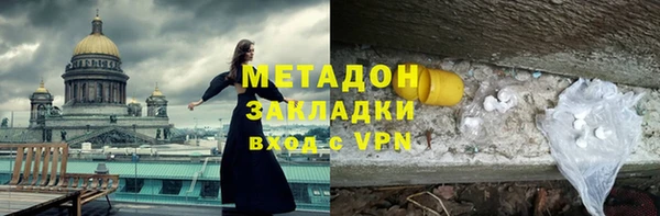 индика Алексин