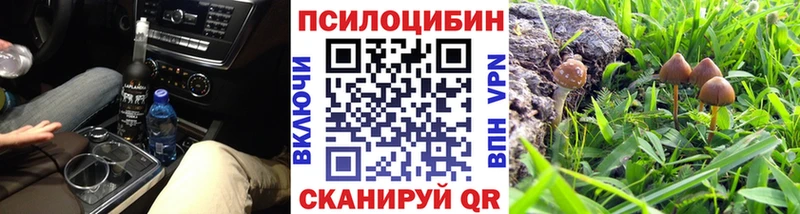 Галлюциногенные грибы мицелий  как найти наркотики  Одинцово 